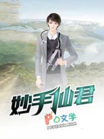 神仙妙手